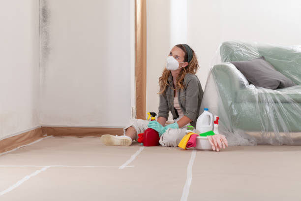 Reliable Mold Remediation contractor in Schertz, TX by Mold Remediation HQ
